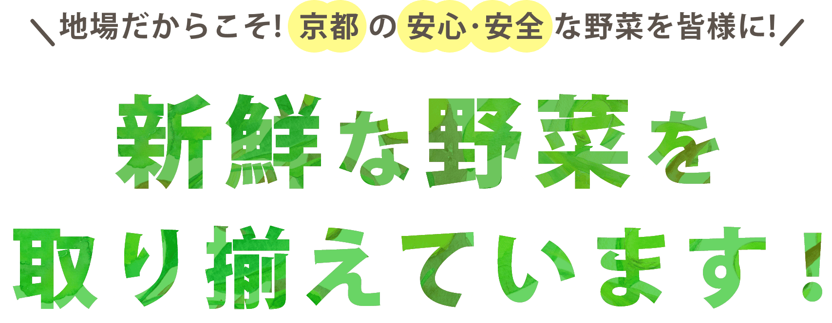 新鮮な野菜を取り揃えています！